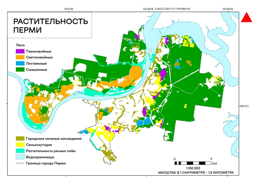 Растительность Перми