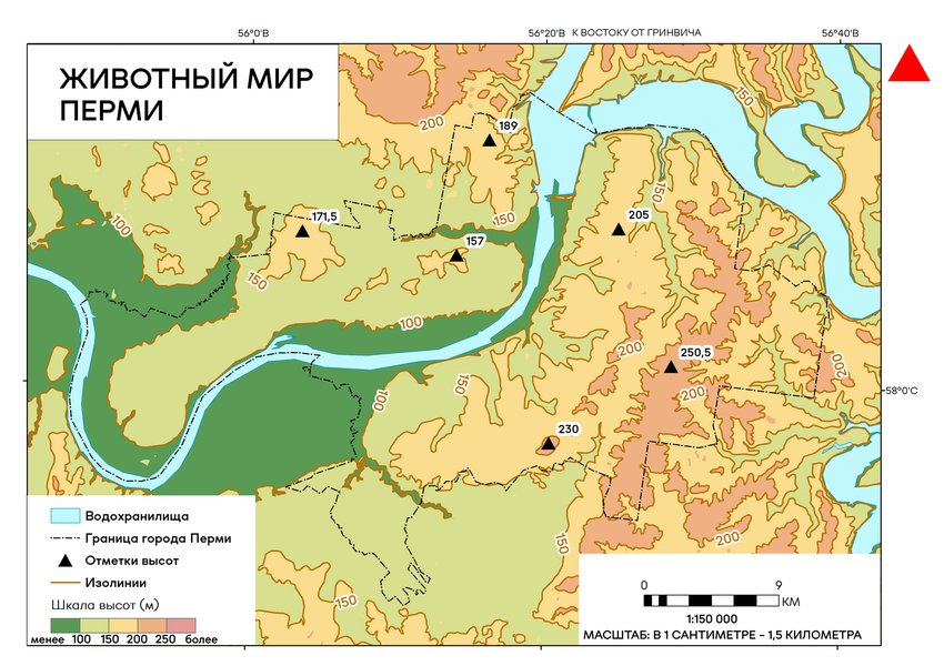 Животный мир Перми